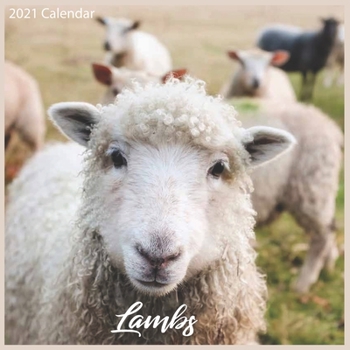 Paperback Lambs 2021 Calendar: Official Sheeps 2021 Wall Calendar 18 months Book