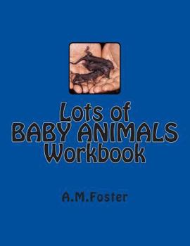 Paperback Lots of BABY ANIMALS Workbook Book