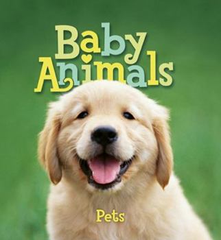 Board book Baby Animals Pets Book