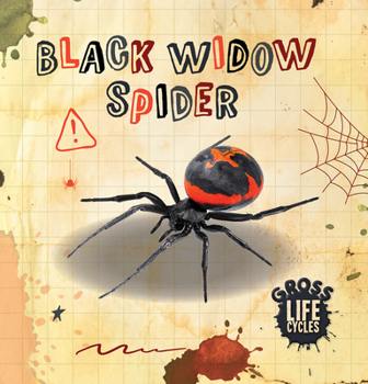 Paperback Black Widow Spider Book