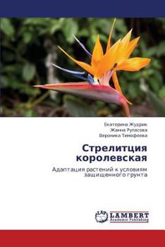 Paperback Strelittsiya Korolevskaya [Russian] Book