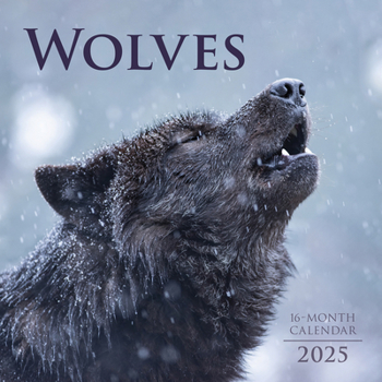 Calendar 2025 Wolves Wall Calendar Book