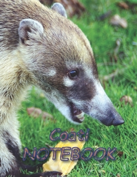 Paperback Coati NOTEBOOK: Notebooks and Journals 110 pages (8.5"x11") Book