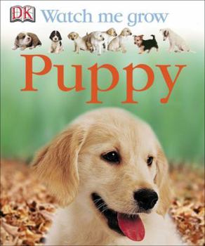 Puppy (Ultimate Sticker Books) - Book  of the DK Watch me grow