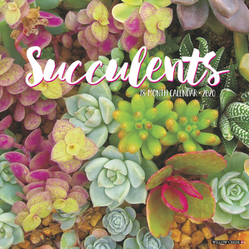 Calendar Succulents 2020 Wall Calendar Book