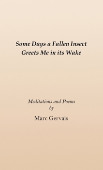 Paperback Some Days a Fallen Insect Greets Me in its Wake: Meditations and Poems Book