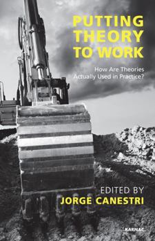 Paperback Putting Theory to Work: How are Theories Actually Used in Practice? Book