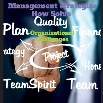 Paperback Management strategies How Solve Organizational Challanges Book
