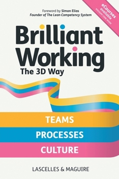 Brilliant Working the 3D Way: Continuous improvement for working teams, processes and culture