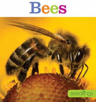 Paperback Seedlings: Bees Book