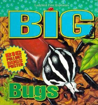 Hardcover Big Bugs Book