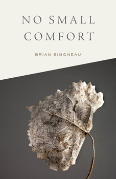 Paperback No Small Comfort Book