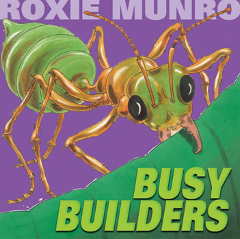 Hardcover Busy Builders Book