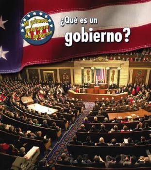 What's Government?
