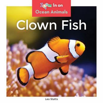 Clown Fish - Book  of the Ocean Animals