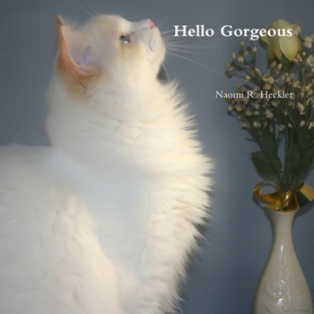 Paperback Hello Gorgeous Book