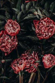 Real Me Notebooks: Bullet Journal