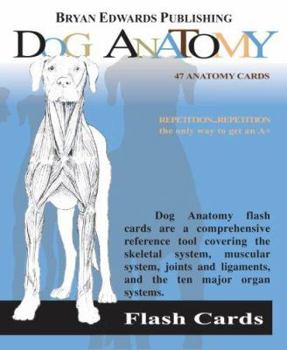 Dog Anatomy