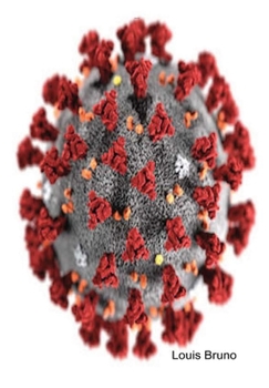 Hardcover The Dreamers Fury Book