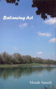 Paperback Balancing Act Book