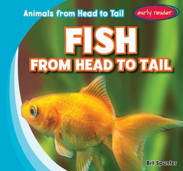 Fish from Head to Tail - Book  of the Animals from Head to Tail