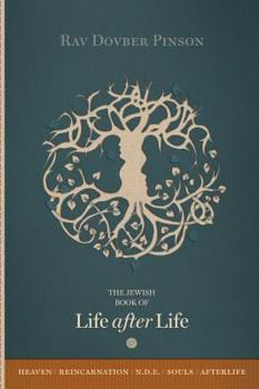 Hardcover The Book of Life After Life Book