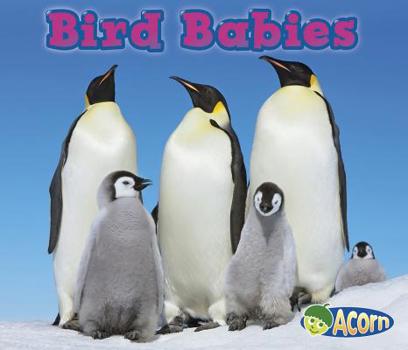 Bird Babies - Book  of the Animal Babies