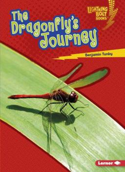 Paperback The Dragonfly's Journey Book