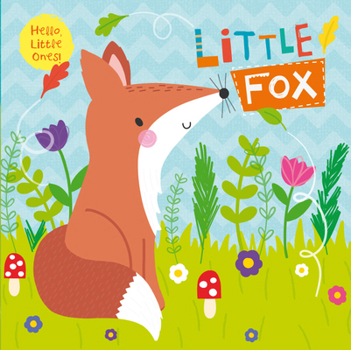 Bath Book Little Fox Book