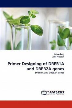 Paperback Primer Designing of Dreb1a and Dreb2a Genes Book