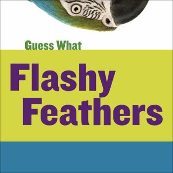 Paperback Flashy Feathers: Macaw Book