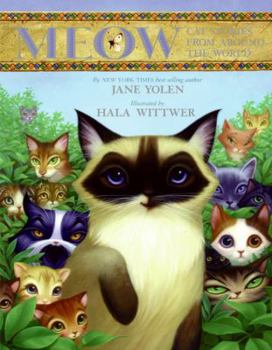 Hardcover Meow: Cat Stories from Around the World Book