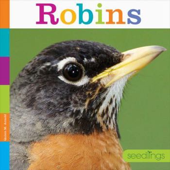 Paperback Robins Book