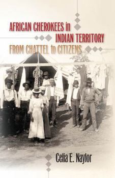 Paperback African Cherokees in Indian Territory: From Chattel to Citizens Book