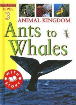 Library Binding Animal Kingdom: Ants to Whales Book