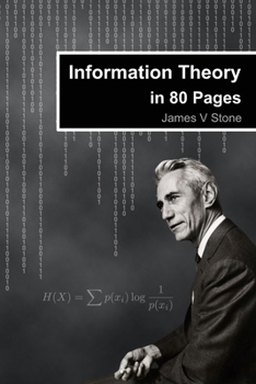 Paperback Information Theory in 80 Pages Book