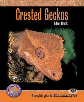 Paperback Crested Geckos Book