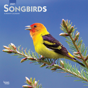Calendar Songbirds 2021 Square Foil Book