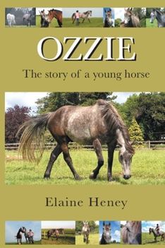 Paperback Ozzie - The story of a young horse Book