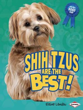 Hardcover Shih Tzus Are the Best! (The Best Dogs Ever) Book