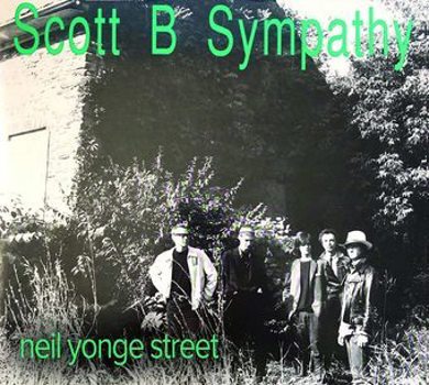 Vinyl Neil Yonge Street Book