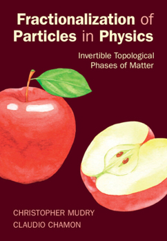 Hardcover Fractionalization of Particles in Physics Book