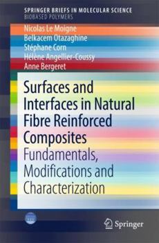 Paperback Surfaces and Interfaces in Natural Fibre Reinforced Composites: Fundamentals, Modifications and Characterization Book