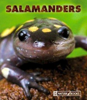 Library Binding Salamanders Book