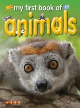 Paperback My First Book of Animals. by Dee Phillips Book