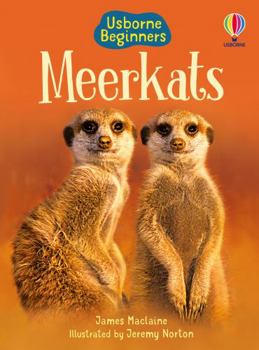 Hardcover Meerkats (Beginners) Book