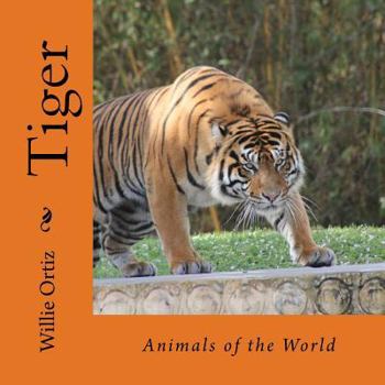 Paperback Tiger: Animals of the World Book