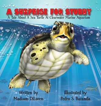 Hardcover A Surprise for Stubby Book