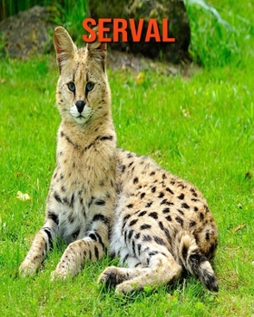 Paperback Serval: Amazing Facts about Serval Book