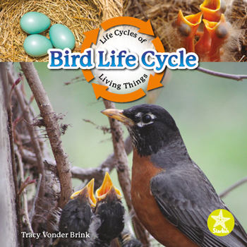 Paperback Bird Life Cycle Book